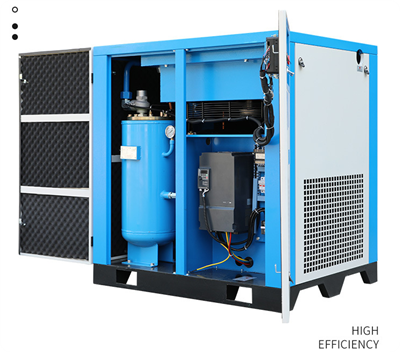 Compressor d'aire de cargol de dues etapes de conversió d'imants permanents